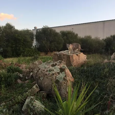 Sardegna Et Soleil In Olbia
