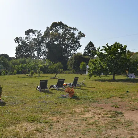 Sardegna Et Soleil In Olbia