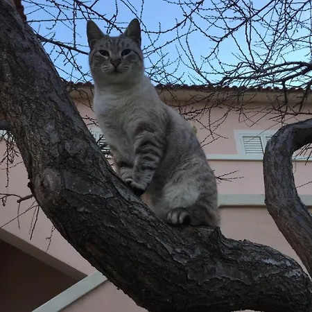 Sardegna Et Soleil In Apartament *