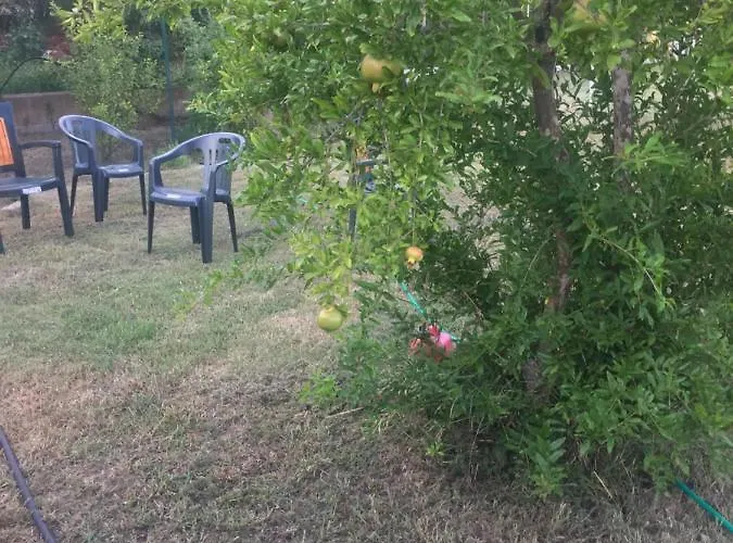 Appartamento Sardegna Et Soleil In Olbia