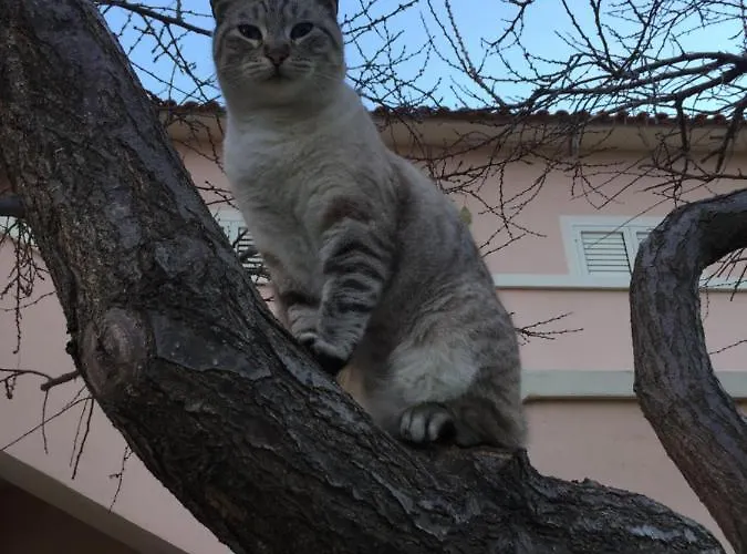 Sardegna Et Soleil In Apartamento *